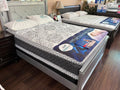 Perfect Dreamer (Pillow Top)