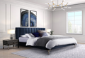 NKS5893NV Contemporary Platform Bed in Queen/ King Size in NV